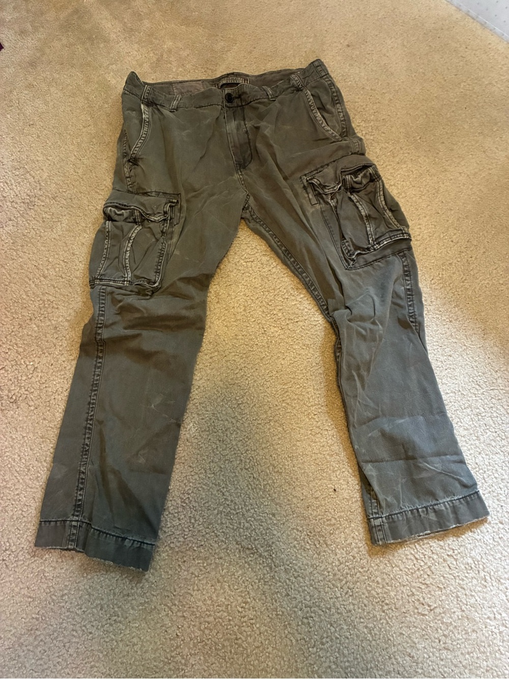 American Eagle Outfitters Olive Cargo Pants